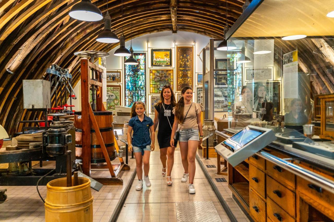 Europarcs De Woudhoeve エグモント・アーン・デン・フフ エクステリア 写真